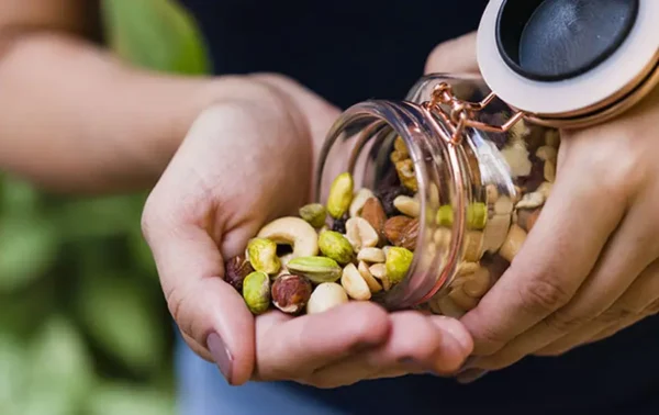 Gün İçi Tüketim İçin Kuruyemiş Rehberi