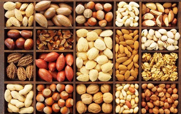 Kuruyemiş Fiyatları Rehberi