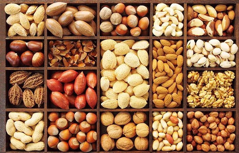 Kuruyemiş Fiyatları Rehberi