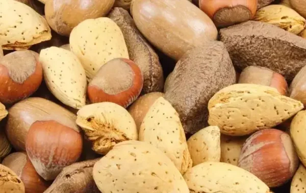 Kuruyemişin Faydaları