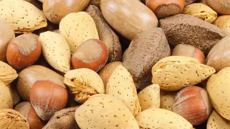 Kuruyemişin Faydaları