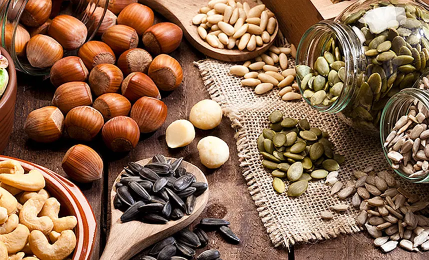 Yazlık Kuruyemişler Rehberi