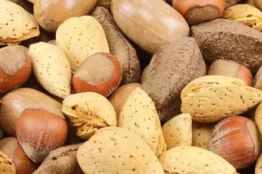 Kuruyemişin Faydaları